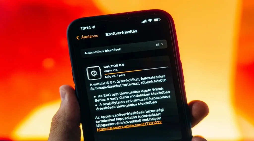 phone settings enabling automatic updates for security